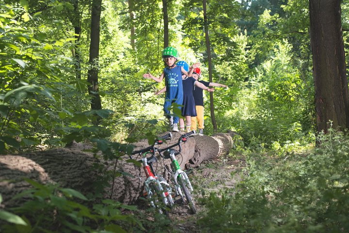 بازی کردن چند کودک با دوچرخه در جنگل