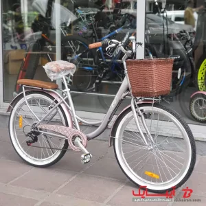 دوچرخه شهری جف مدل Lady سایز 26 (Jeff Lady) رنگ یاسی - آیبایک