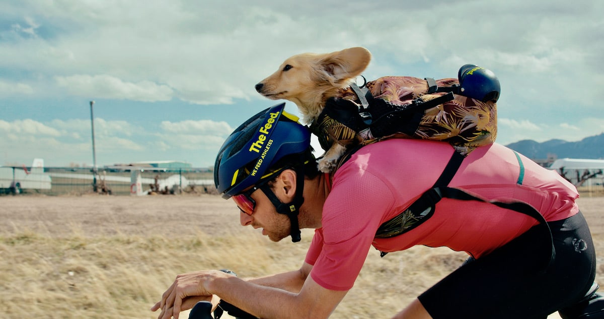 دوچرخه سواری با سگ - آیبایک