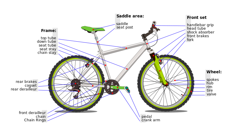 آناتومی دوچرخه